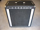 Peavey TNT 100 Bass